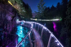 canyon-lights-2022