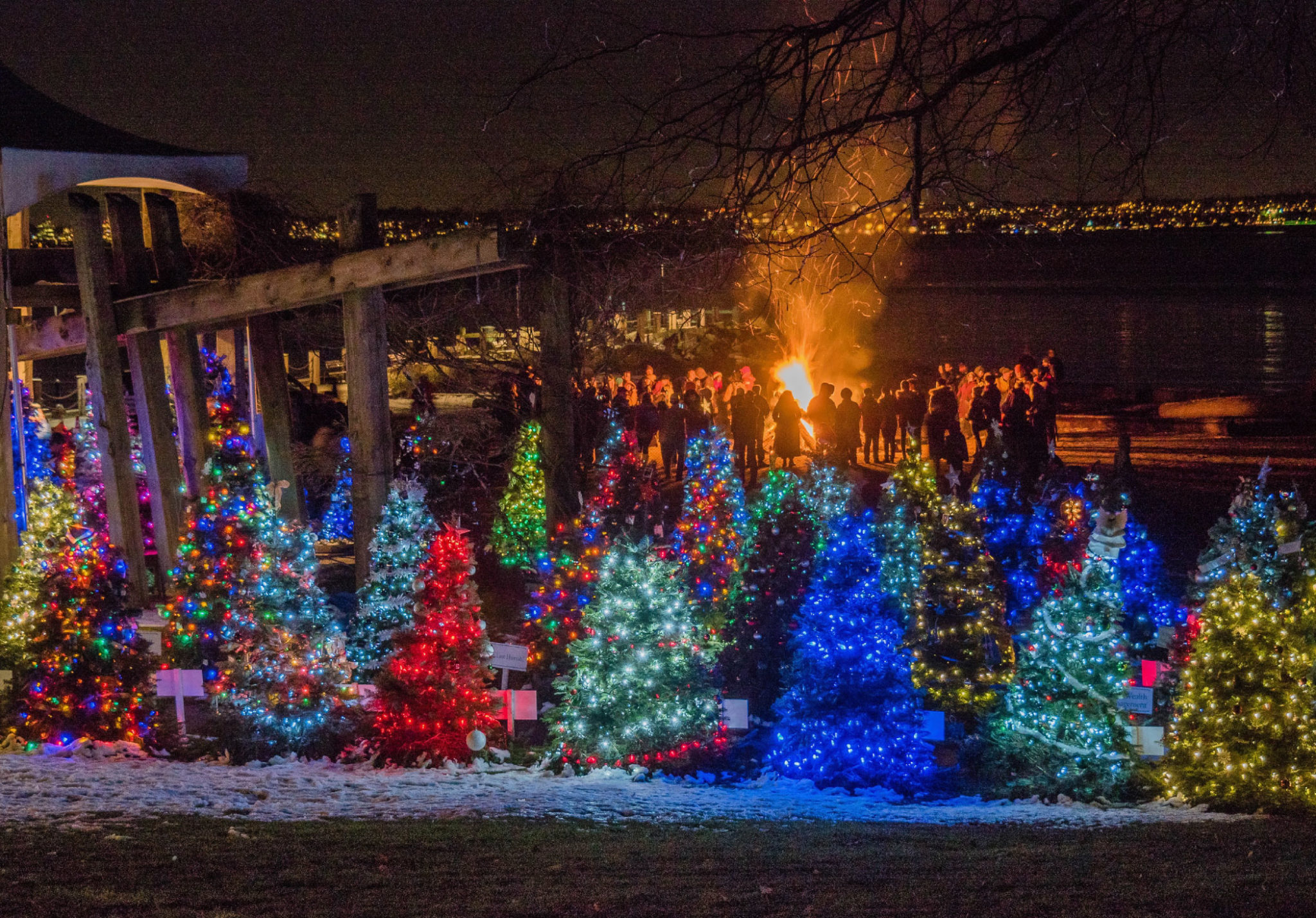 Festival Of Lights 2024 Vancouver Washington Joey Felicity