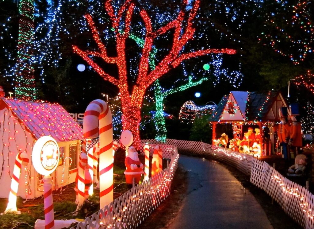 bright-lights-stanley-park