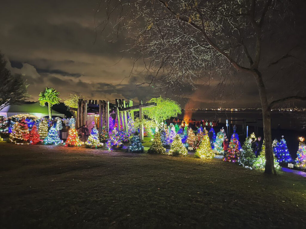 xmas-dundarave-lights-2023