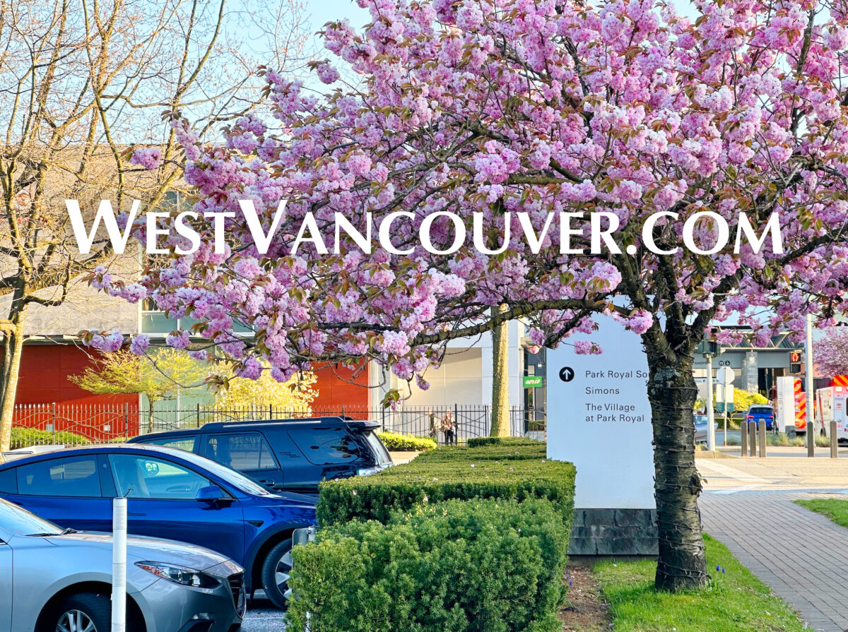 garbage-collection-westvancouver-west-vancouver-bc