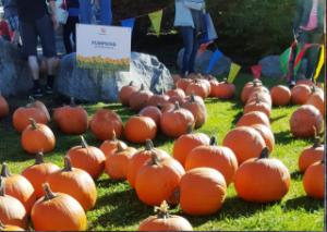 pumpkin fest